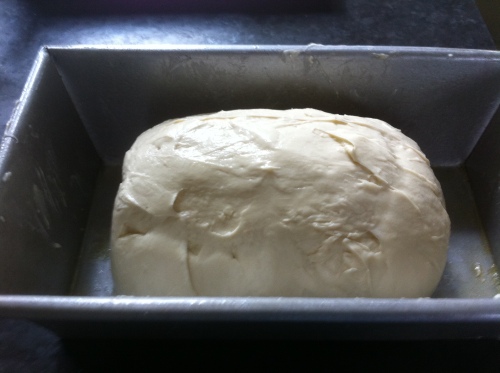 Bread Shaping