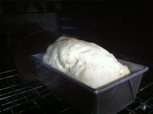 Miracolo Bread Rise